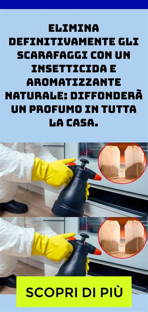 Elimina Definitivamente Gli Scarafaggi Con Un Insetticida E