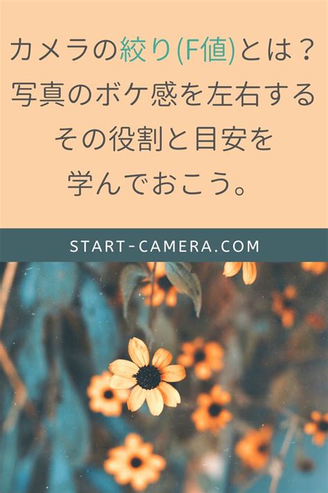 カメラのf値絞りとは？その特徴と目安を解説します カメラ初心者のための使い方解説書 写真撮影のコツ 写真のハウツウ 写真