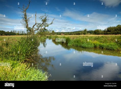 River Rother, West Sussex Stock Photo - Alamy