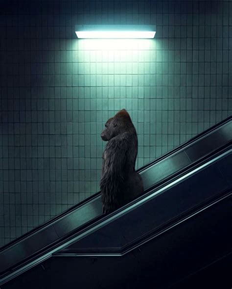 Mr Strange XX XXI The Escalator Catawiki