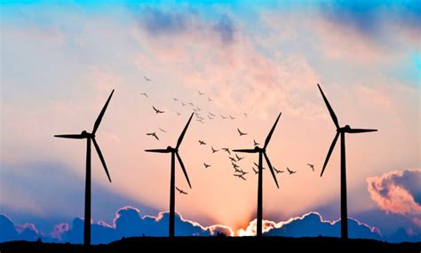 Desvantagens Da Energia Eólica - Impactos negativos da energia eólica: quais são - Brasil Escola