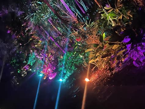 Beautiful light show at a botanical garden! : r/woahdude