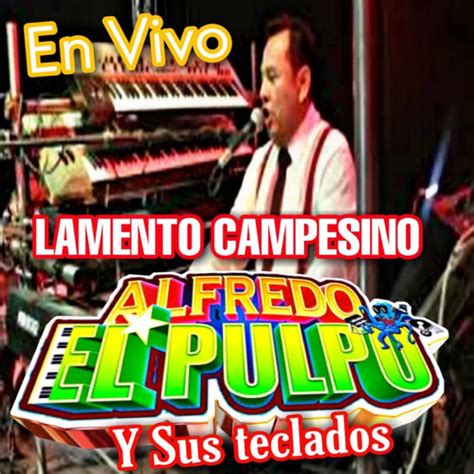 Stream El Chipi Chapa En Vivo By Alfredo El Pulpo Y Sus Teclados