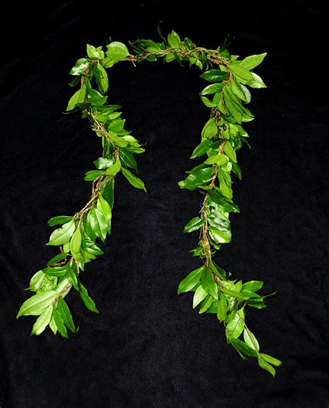 Hawaiian Wedding Lei Hawaiian Flower Leis