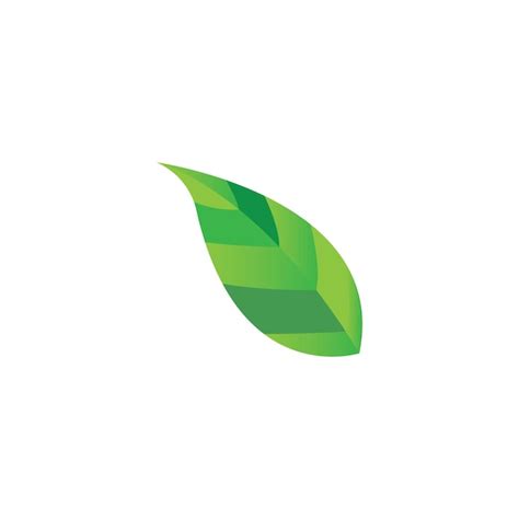 Premium Vector Eco Icon Green Leaf Vector Illustration Isolated Vector