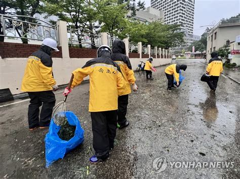 속초 태풍피해 복구작업 연합뉴스