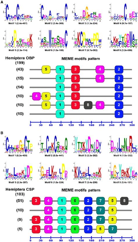 Motif Analysis Of Hemiptera Odorant Binding Proteins Obps And