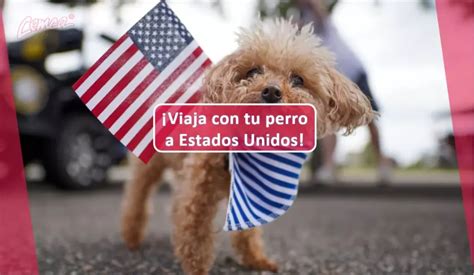 Requisitos Para Llevar Perros A Los Estados Unidos Home CEMCA