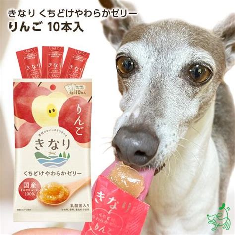 犬 おやつ 無添加 国産 きなり くちどけやわらかゼリー りんご 5g×10本 低脂肪 使い切り 水分補給 果物 R20181 犬用自然派