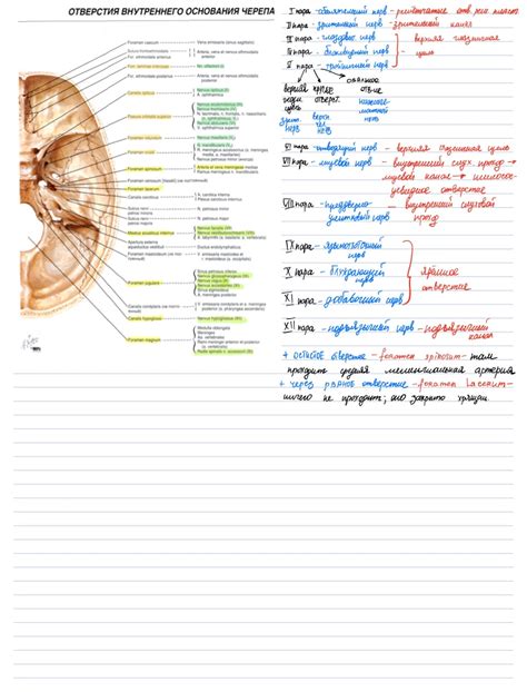 Места Выходов ЧМН Notability Gallery