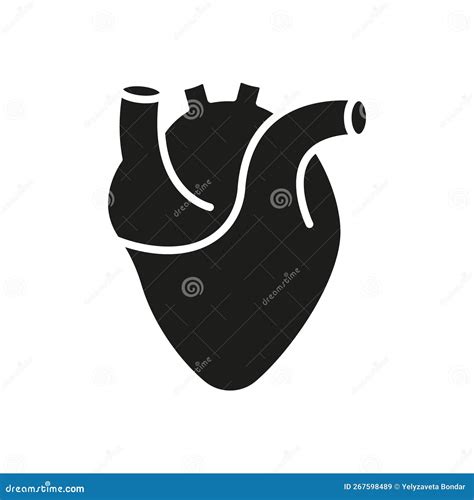 Human Heart Silhouette Icon Anatomy Of Healthy Cardiovascular Organ