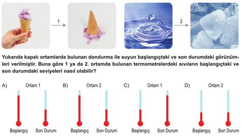 Maddenin Hal De I Imi Test Z S N F Fen Bilimleri Testleri