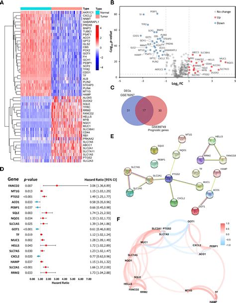 Frontiers Identification And Validation Of A Novel Ferroptosis