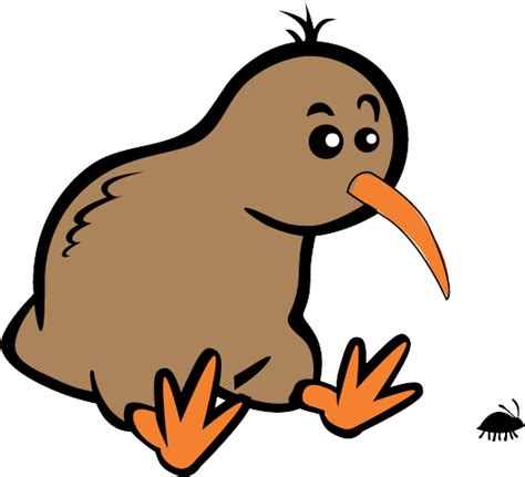 Kiwi Bird PNG Clipart PNG All PNG All