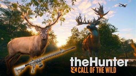 Em Busca Do Veado Vermelho Cuatro Colinas Thehunter Call Of The