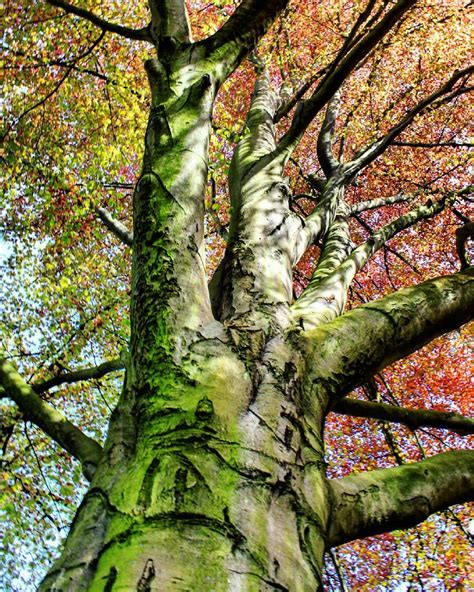 Namur Parc Citadelle Belgique Bruno Scimia Flickr