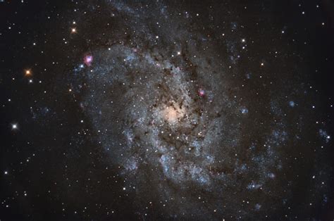 M33 X 7 Rekordhalter Unter Den Stellaren Schwarzen Löchern Stars And