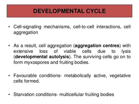 Myxobacteria, life cycle, genetic basis of differentiation