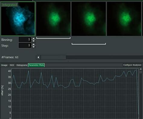 Novaflim Fluorescence Lifetime Imaging Analysis Software Picoquant