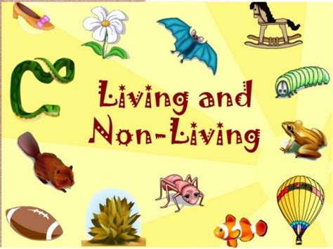 Living Things and Non-Living Things - ClassNotes.ng