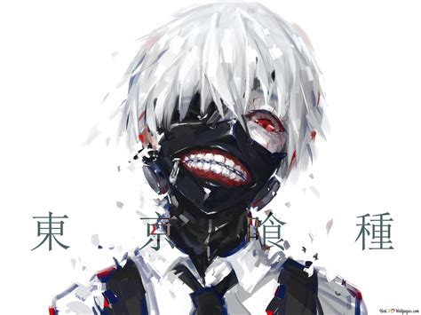 Anime Tokyo Ghoul Ken Kaneki Schwarz und Weiß HD Hintergrundbilder