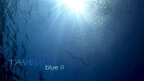 Taveuni Blue Ii Diving The Rainbow Reef In Fiji With The Amazing Team