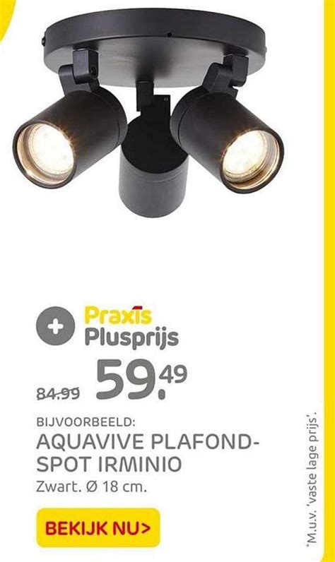 Aquavive Plafondspot Irminio Aanbieding Bij Praxis Folders Nl