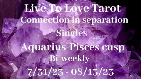 ♒️ Aquarius ♓️ Pisces Cusp Love Reads💫stuck In Betrayal💫 Youtube