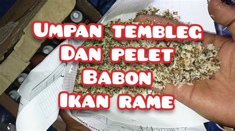 Umpan Tembleg Dan Pelet Kiki Riri Ikan Mas JADUL Babon Ikan Rame