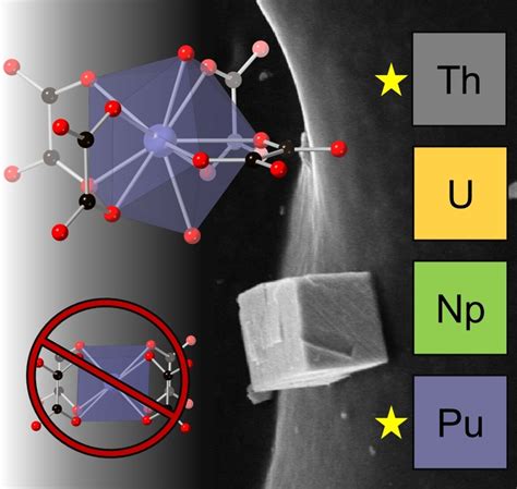 Insight Into The Structural Ambiguity Of Actinide Iv Oxalate Sheet