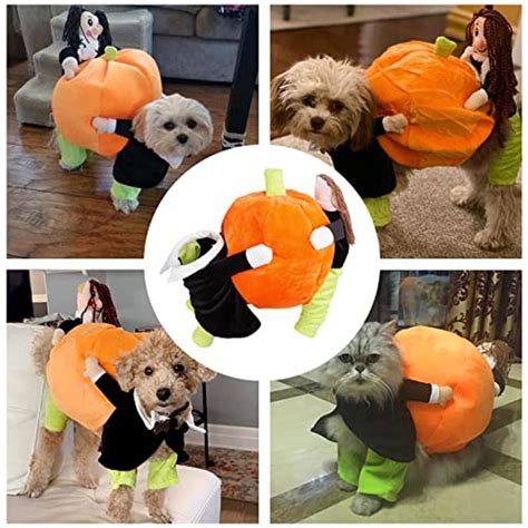 four pictures of dogs dressed up in halloween costumes, one with a ...