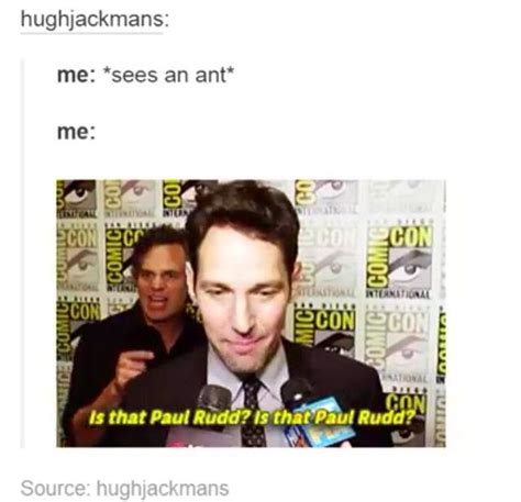 Is that Paul Rudd??? | Marvel memes, Paul rudd, Superhero comic