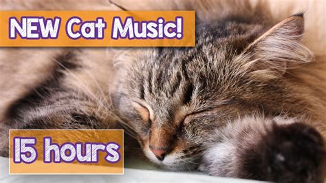 NEW How to Calm Your Cat Music! Music for Anxious Cats to Relax in 2018 ...