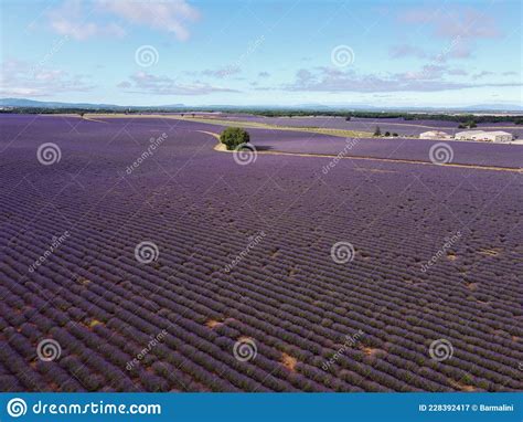 Touristic Destination In South Of France Aerial View On Colorful