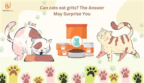 Can Cats Eat Grits The Answer May Surprise You