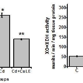 Figure Shows Possible Mechanism Of Protection By Curry Leaf Aqueous