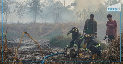 171 Titik Panas Terdeteksi Di Kaltim BMKG Waspada Karhutla