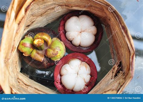 Mangosteen fruit stock photo. Image of eating, mangosteen - 130370806