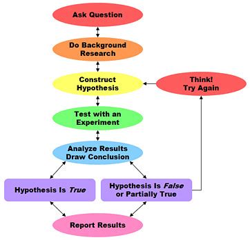 Chapter 2 PSYCH 104 Flashcards Quizlet