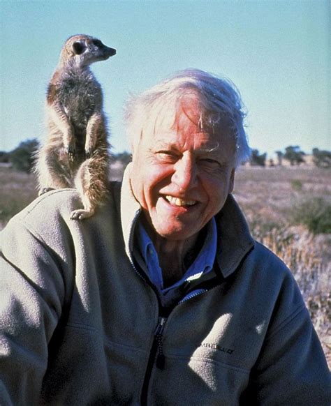 Today, English biologist and broadcaster David Attenborough, aged 96, woke up in his bed. : r ...