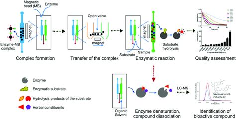 Schematic Diagram Of Biopharmaceutical Quality Assessment And Screening