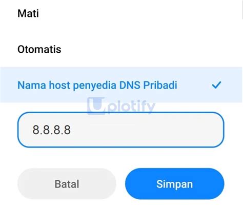 menggunakan dns google  android pc iphone