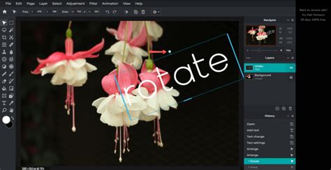 How To Rotate Text In Pixlr E Or Pixlr X