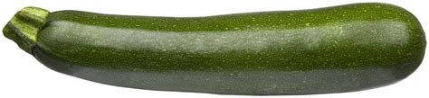 Zucchini Topf Ca Cm Cucurbita Kaufen Bei Obi