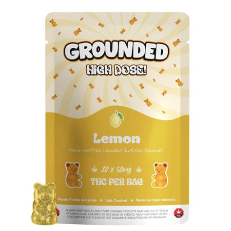 Grounded High Dose Bears Lemon 500mg Gummies Weedpedia Coupons