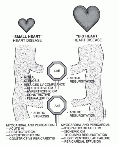 Radiography Of Acquired Heart Disease Radiology Key