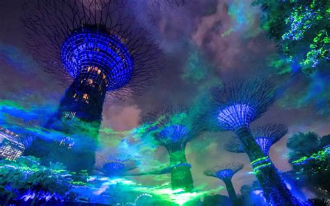 Experience The Northern Lights At Gardens By The Bay Ttg Asia