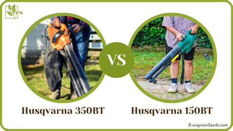 Husqvarna 350bt vs 150bt: How Do These Two Leaf Blowers Compare ...