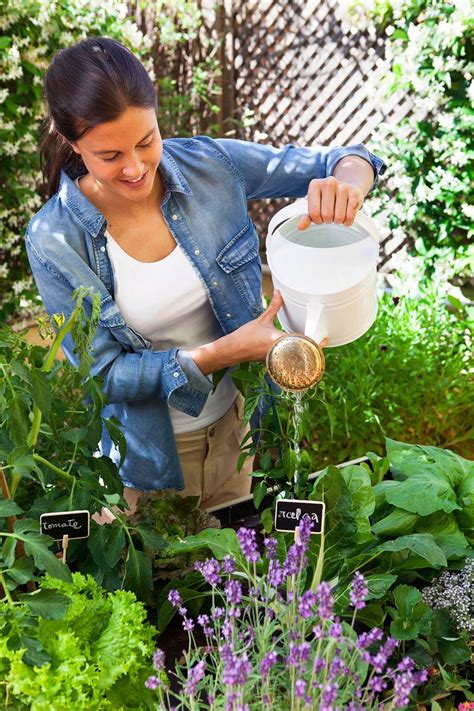 Cómo regar las plantas en vacaciones 8 trucos que funcionan