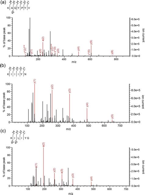 Mass Spectra Of Peptides Kaqypyv A Kiiiyn B And Kiliyg C Download Scientific Diagram